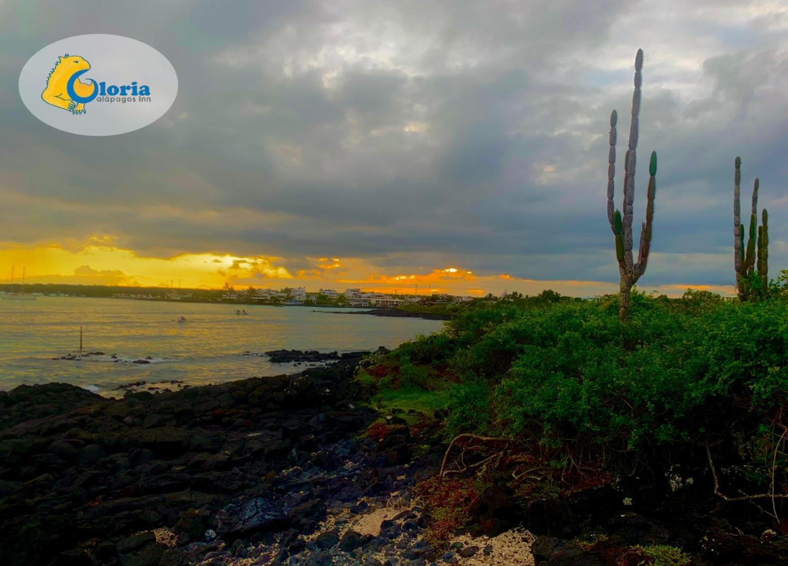 Gloria - Galapagos Inn Puerto Ayora  Ngoại thất bức ảnh